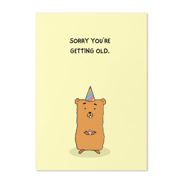 Birthday Card - Sparky "Sorry You're Getting Old" | Hanoonies - Image 2